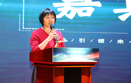 海南省工业和信息化厅副厅长崔淑田000.jpg